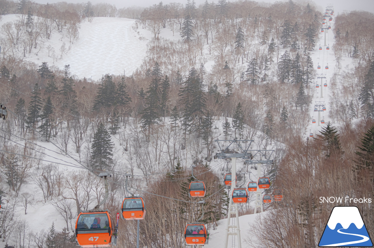 札幌国際スキー場｜山頂の積雪は、300cm！連日の春スキー＆スノーボード日和から一転、今日は冬が帰ってきました♪